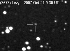 Asteroid (3673) Levy [Winchester Observatory image]