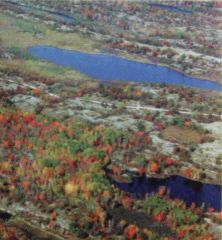 Aerial View of Torrence Barrens DSP Aerial View of Torrence Barrens DSP