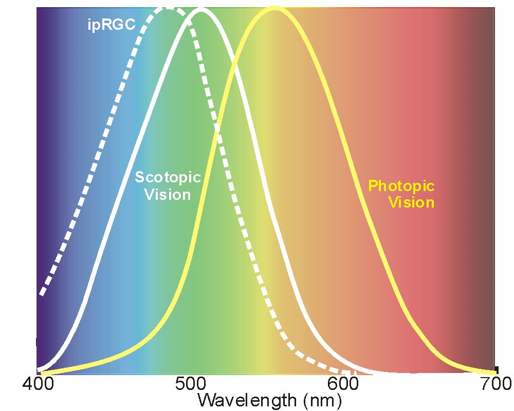 Retina Spectrum