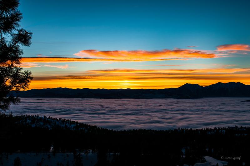 Regal Ridge Sasquatch sunset