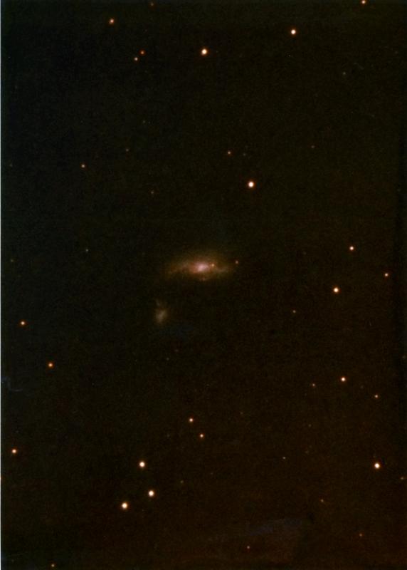 Supernova Wild in NGC 4490