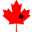 transit-canada.gif